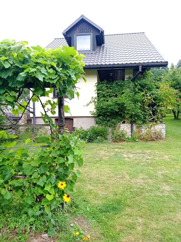 Zielone okolice domku letniskowego